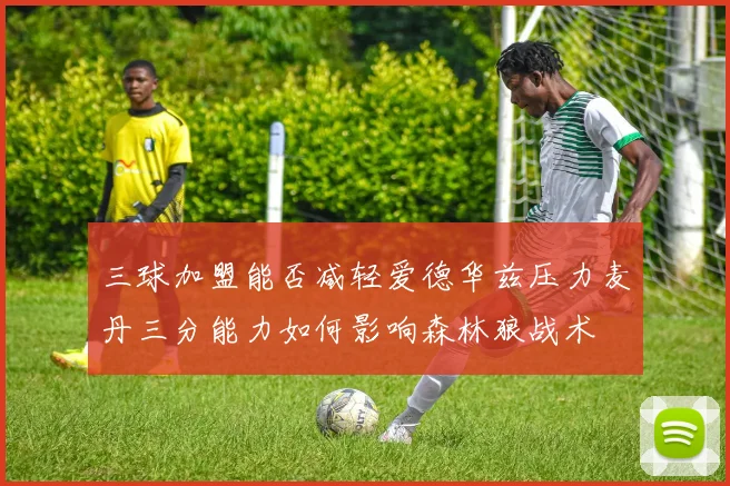 三球加盟能否减轻爱德华兹压力麦丹三分能力如何影响森林狼战术