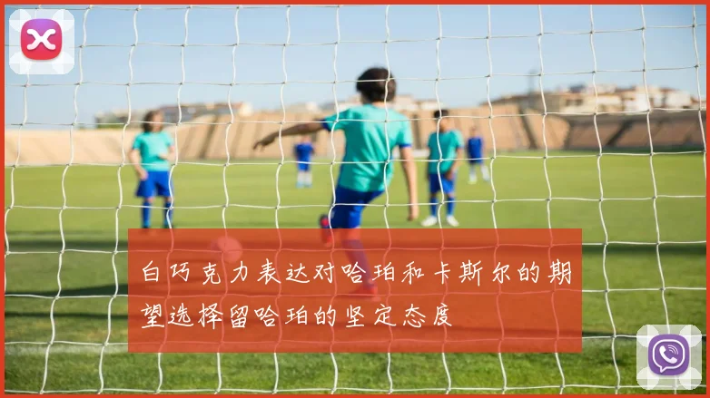 白巧克力表达对哈珀和卡斯尔的期望选择留哈珀的坚定态度